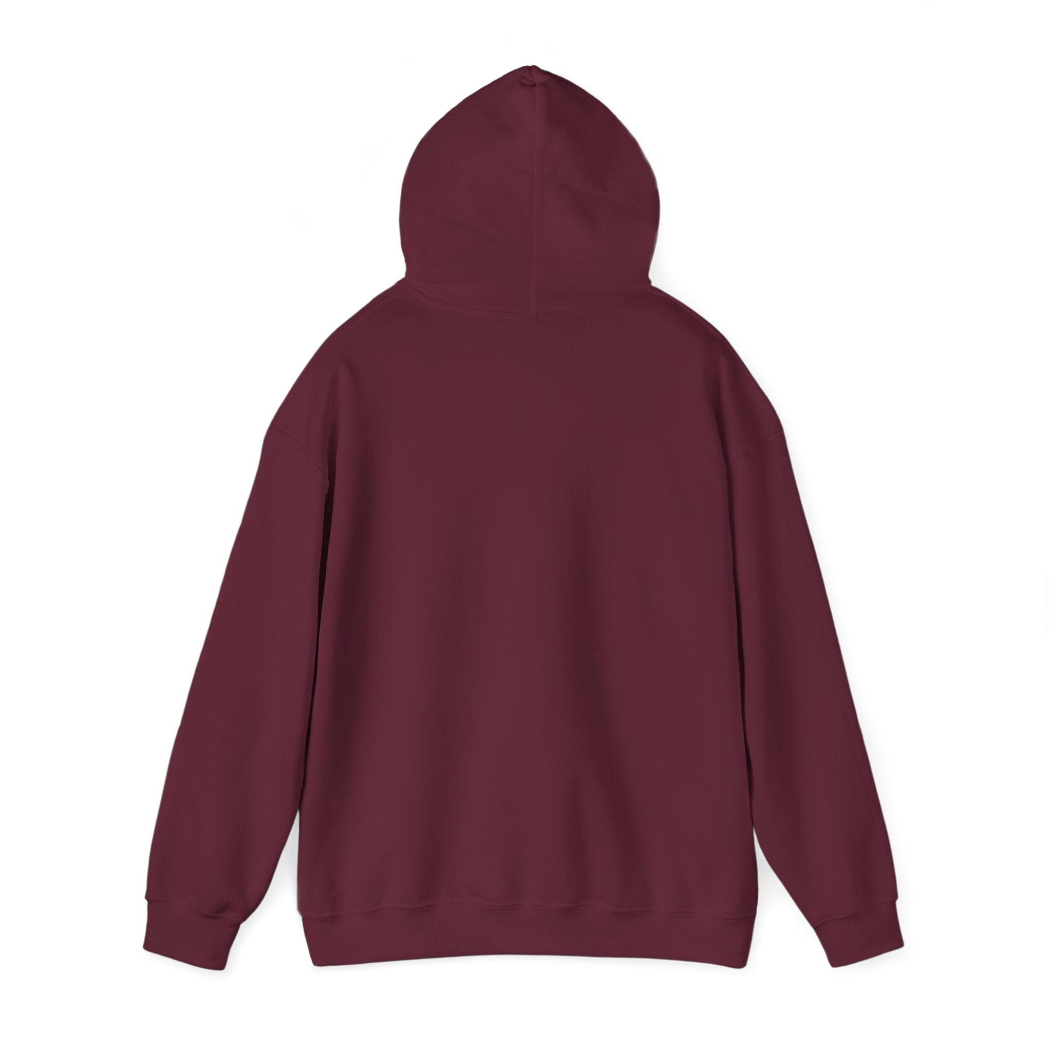 VIBE Hooded Sweatshirt