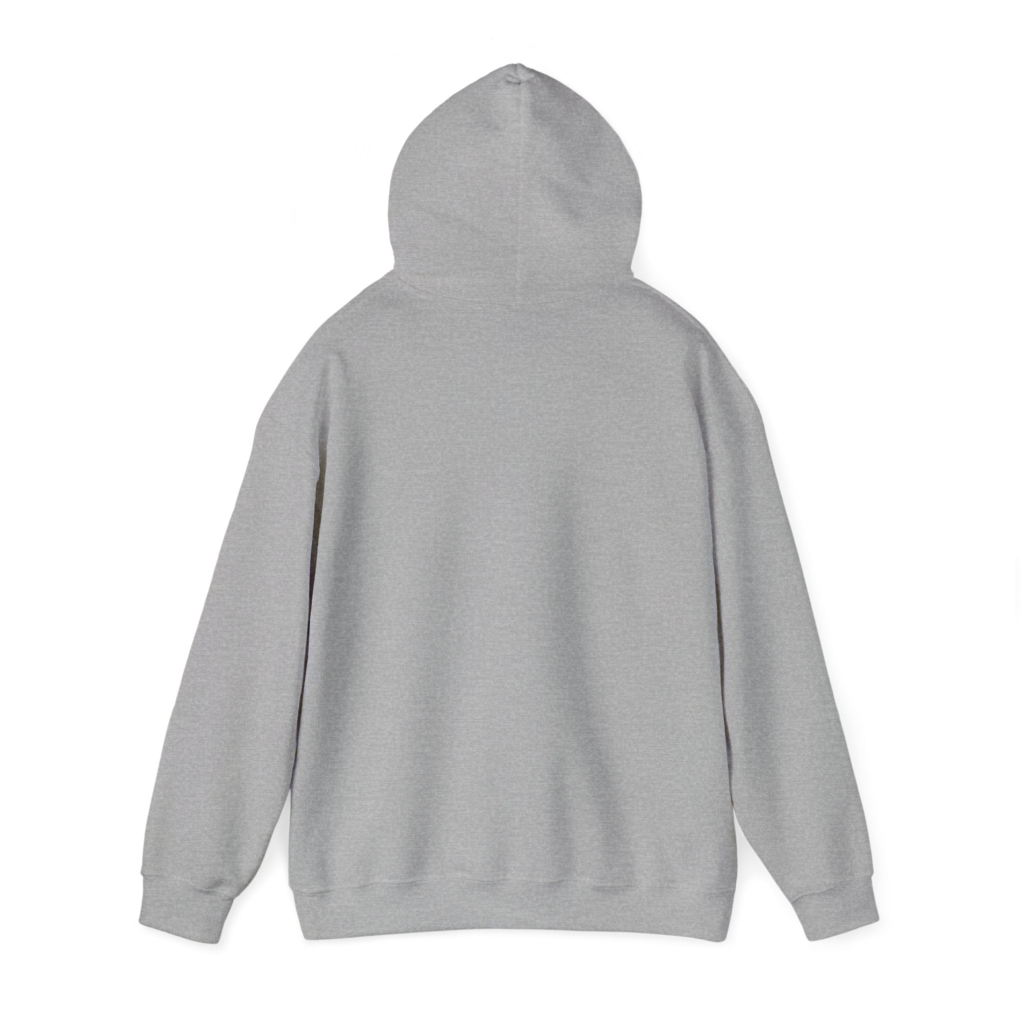 VIBE Hooded Sweatshirt
