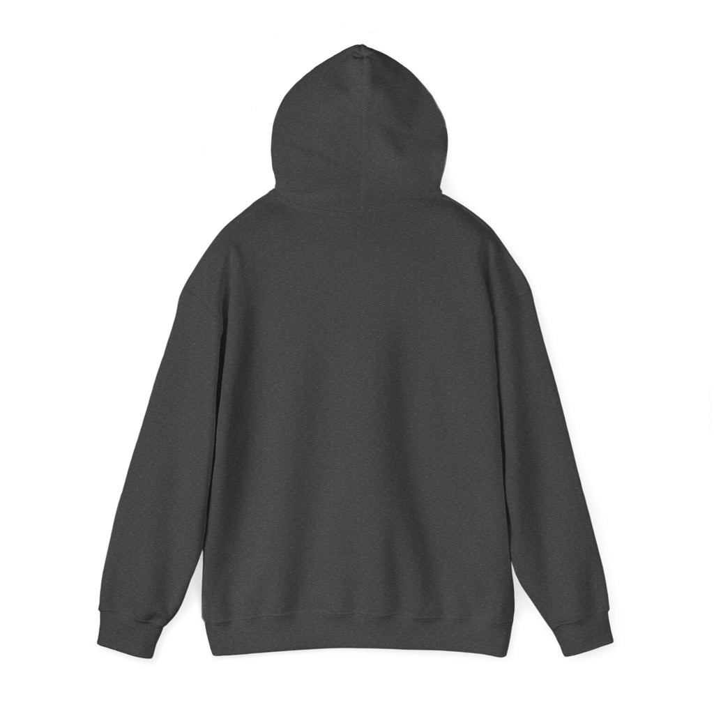 VIBE Hooded Sweatshirt